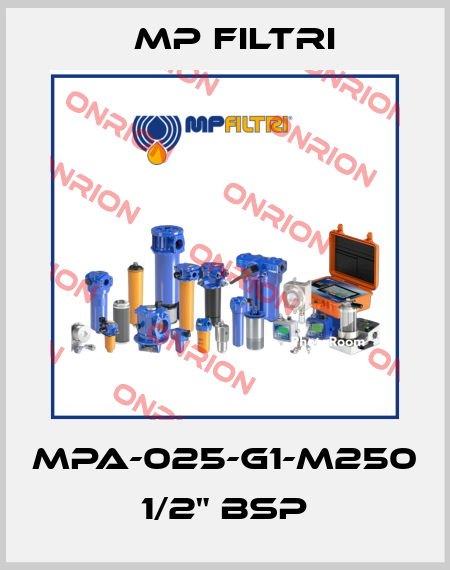 MPA-025-G1-M250   1/2" BSP MP Filtri