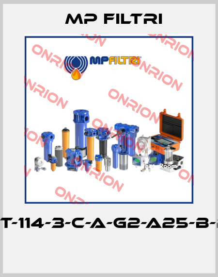 MPT-114-3-C-A-G2-A25-B-P01  MP Filtri