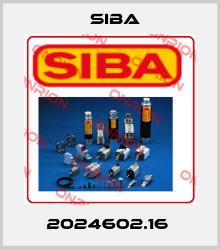 2024602.16  Siba