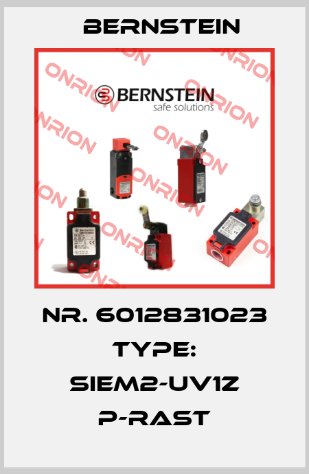 Nr. 6012831023 Type: SIEM2-UV1Z P-RAST Bernstein