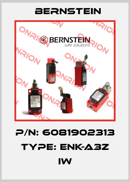 P/N: 6081902313 Type: ENK-A3Z IW Bernstein
