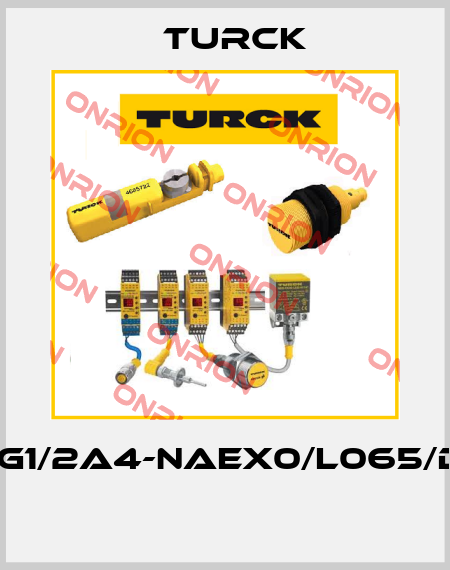 FCS-G1/2A4-NAEX0/L065/D024  Turck
