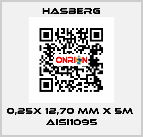 0,25X 12,70 MM X 5M  AISI1095 Hasberg