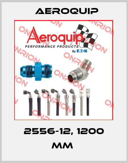 2556-12, 1200 MM  Aeroquip
