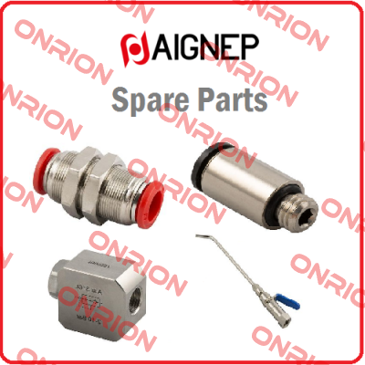 263404 Aignep