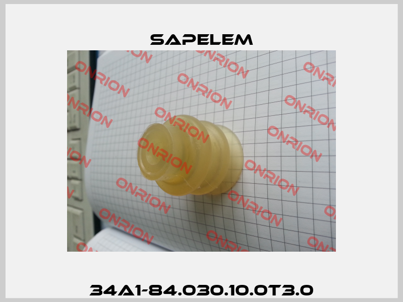 34A1-84.030.10.0T3.0 Sapelem