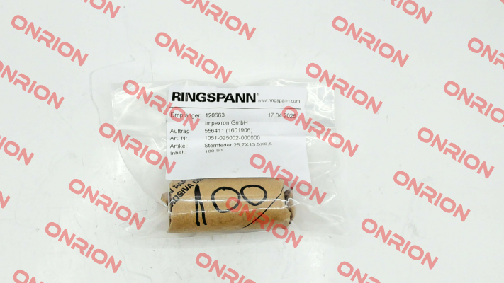 1051-025002 Ringspann