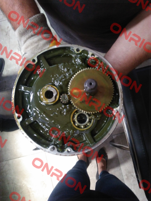 RNS 3H02S165-Y Sesame Motor