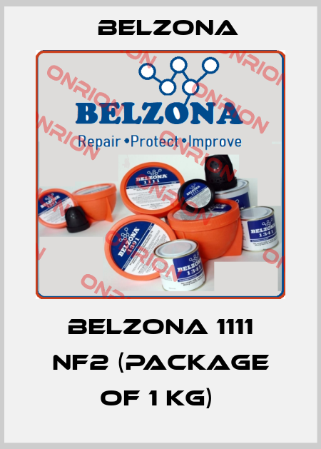 Belzona 1111 NF2 (package of 1 kg)  Belzona