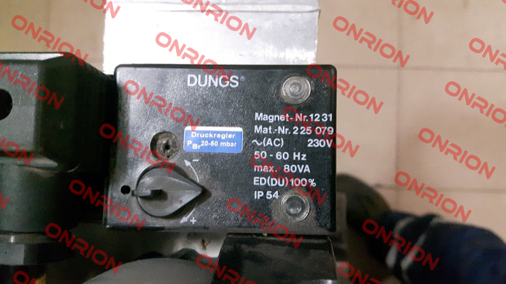 228295 (1231 AC 230 V IP 54) Dungs