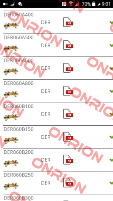 DER060B250 Ime