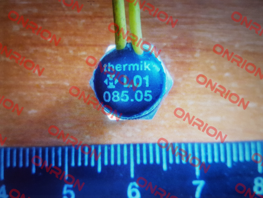 L01.085.05.0560 Thermik