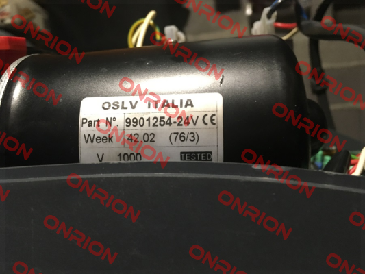 119RIE131 OSLV Italia