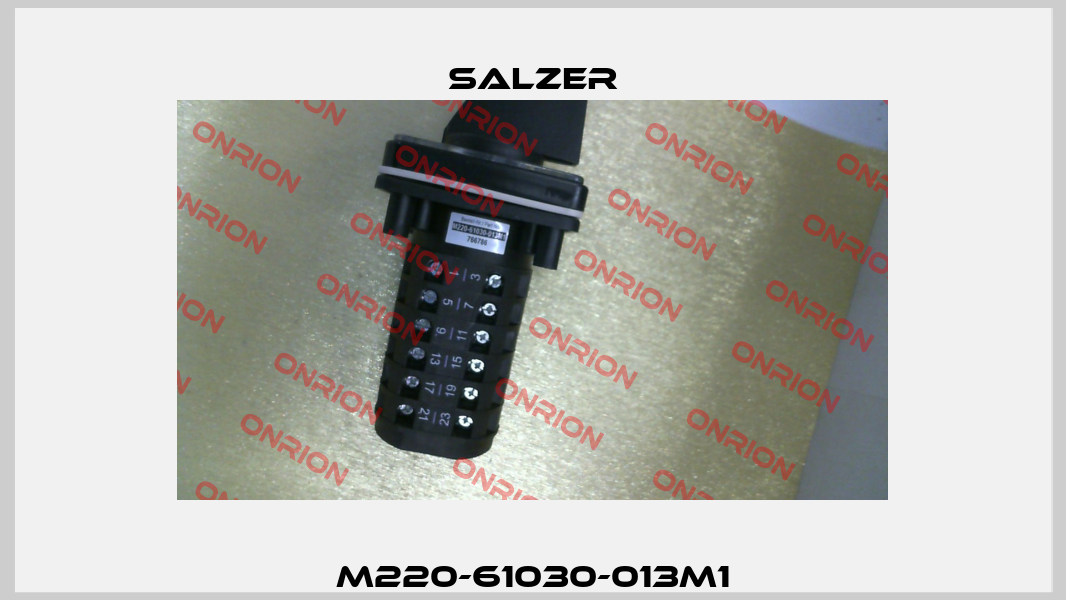 M220-61030-013M1 Salzer