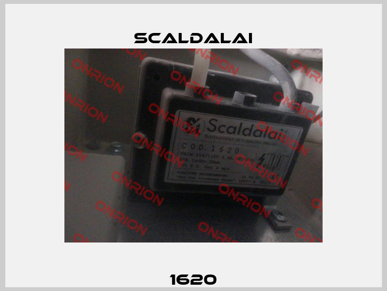 1620 Scaldalai