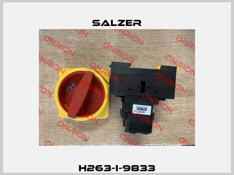 H263-I-9833 Salzer