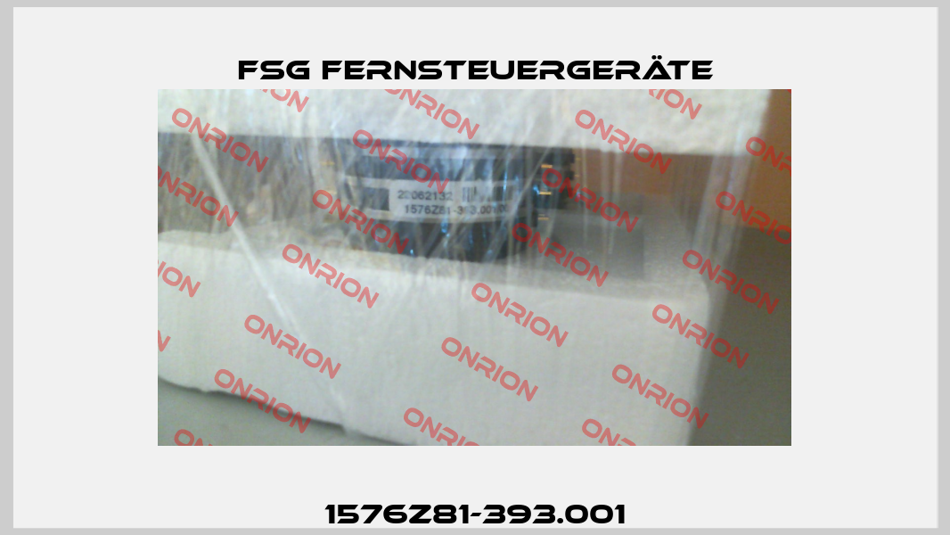 1576Z81-393.001 FSG Fernsteuergeräte