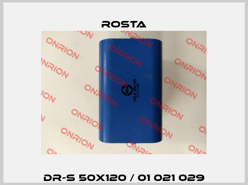 DR-S 50x120 / 01 021 029 Rosta
