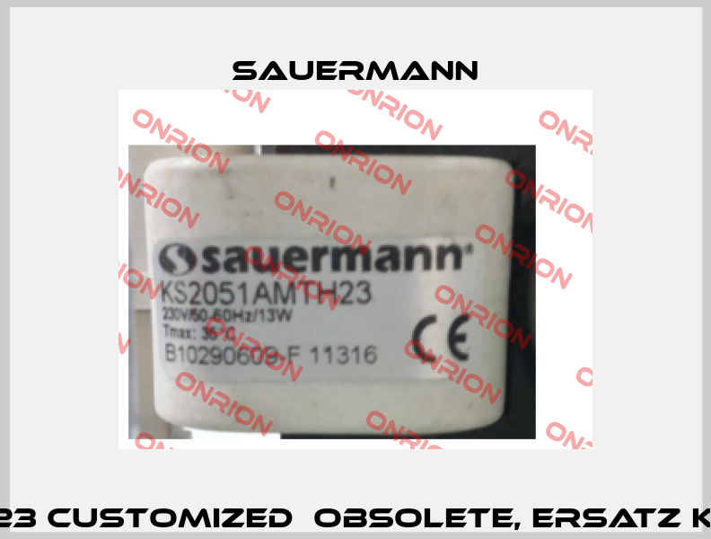KS2051AMTH23 customized  obsolete, Ersatz KS2051SIUN23  Sauermann