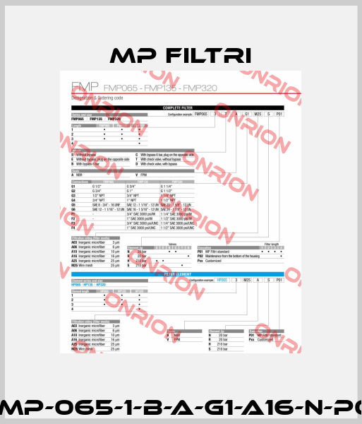 FMP-065-1-B-A-G1-A16-N-P01 MP Filtri