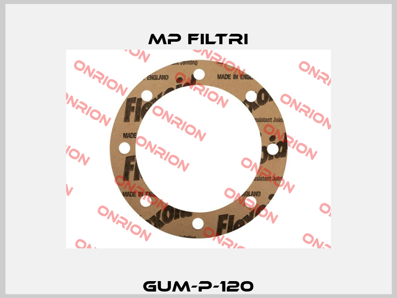 GUM-P-120 MP Filtri