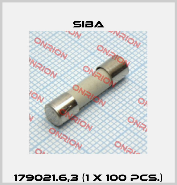 179021.6,3 (1 x 100 pcs.) Siba