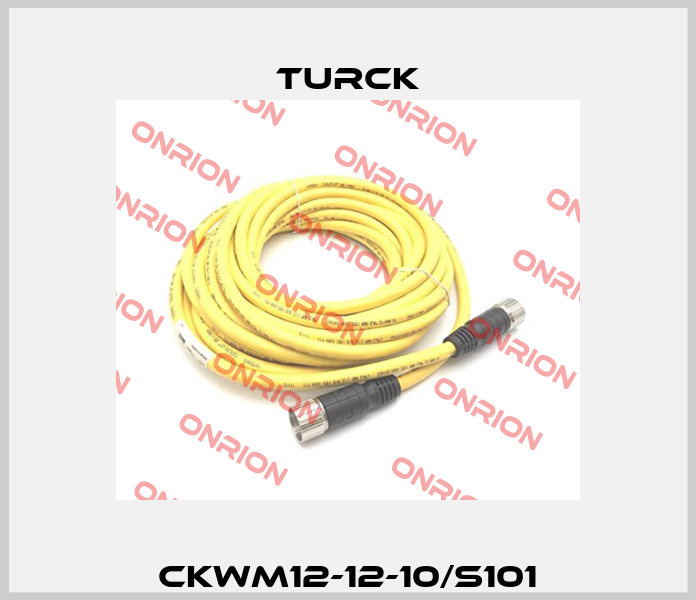 CKWM12-12-10/S101 Turck