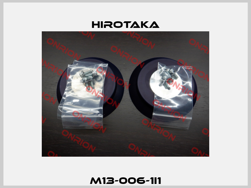 M13-006-1I1 Hirotaka