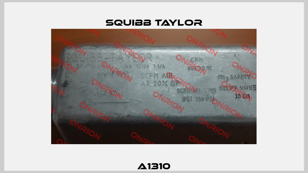 A1310 Squibb Taylor