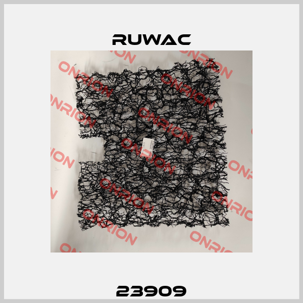 23909 Ruwac